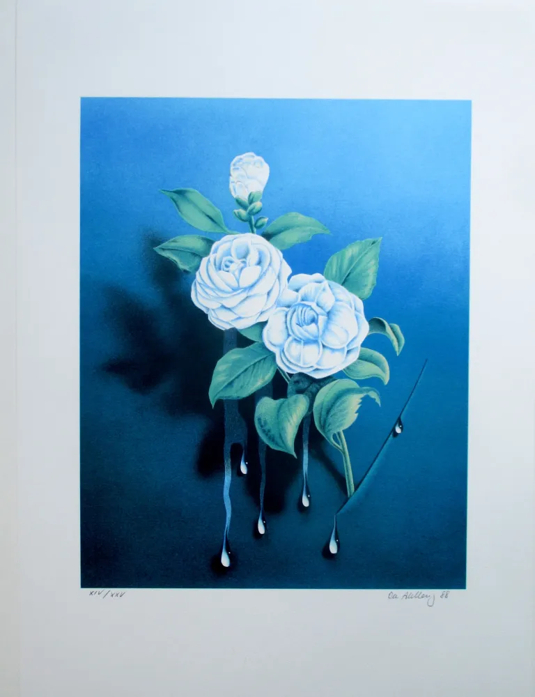 Lithografie Ahlberg - The White Rose