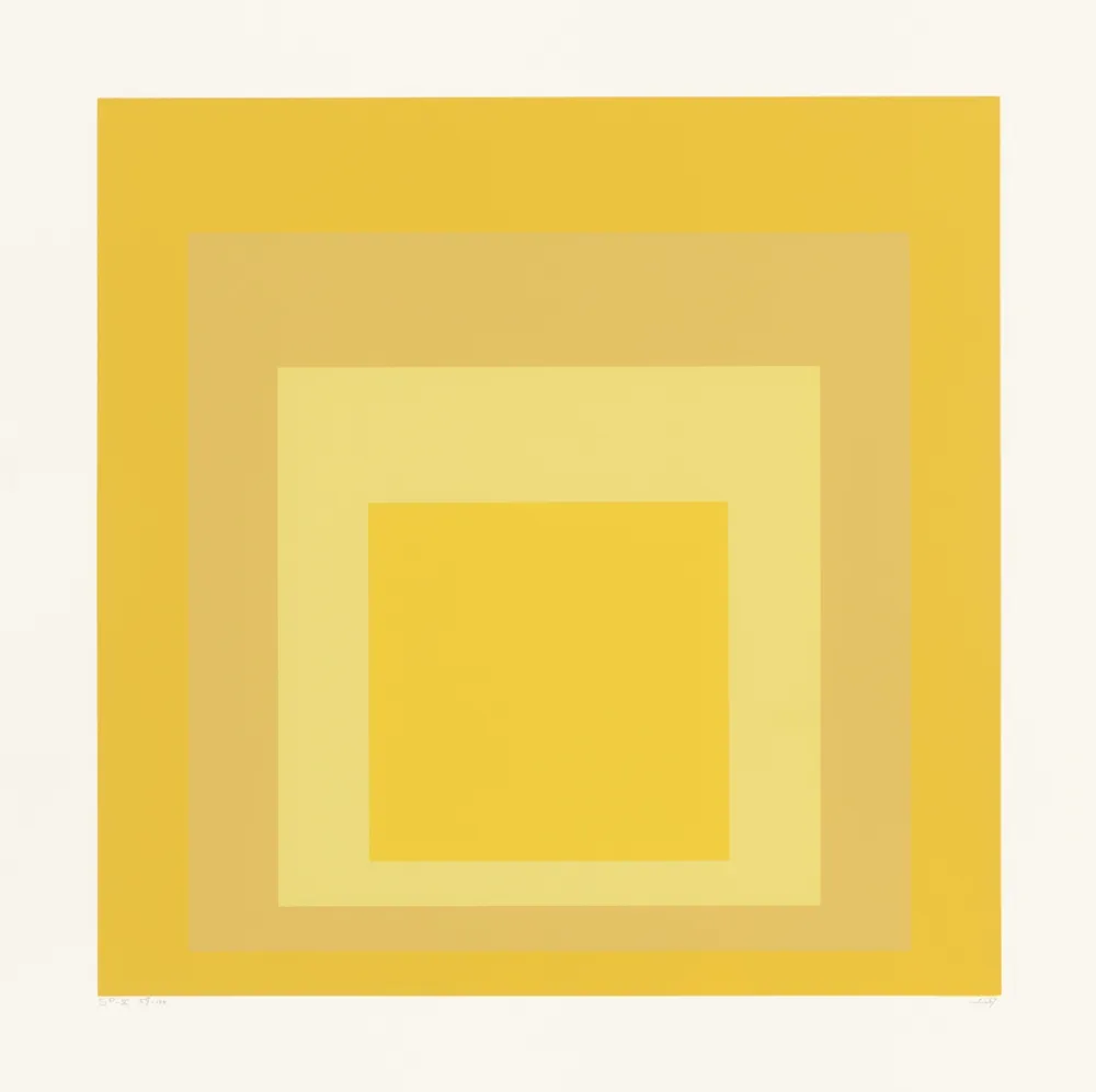 Zeefdruk Albers - SP X