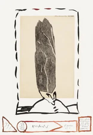 Ets Alechinsky - Flore danoise 01 - Le magister