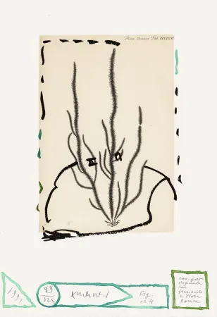 Ets Alechinsky - Flore danoise 04 - Humus voltige