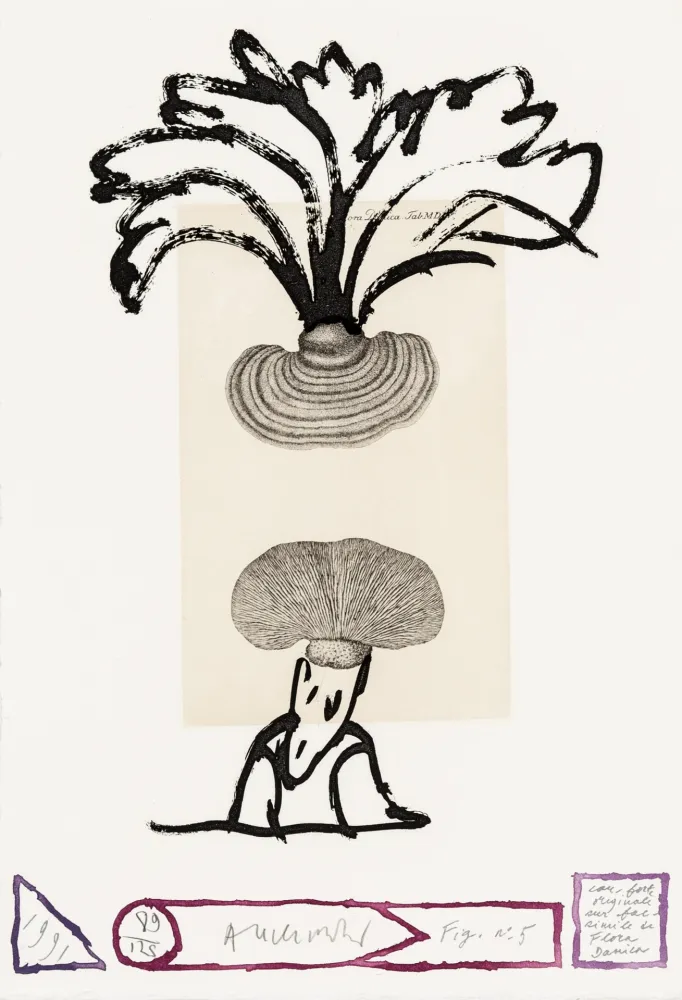 Ets Alechinsky - Flore danoise 05 - Panaches