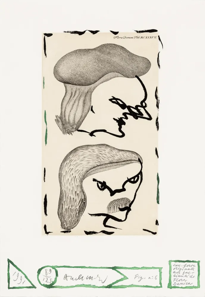 Ets Alechinsky - Flore danoise 06 - Naissance des masques