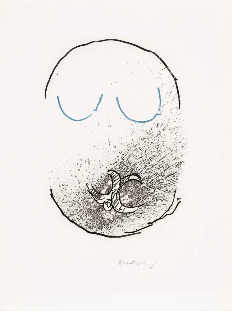 Ets En Aquatint Alechinsky - Pointes Planche IX bis