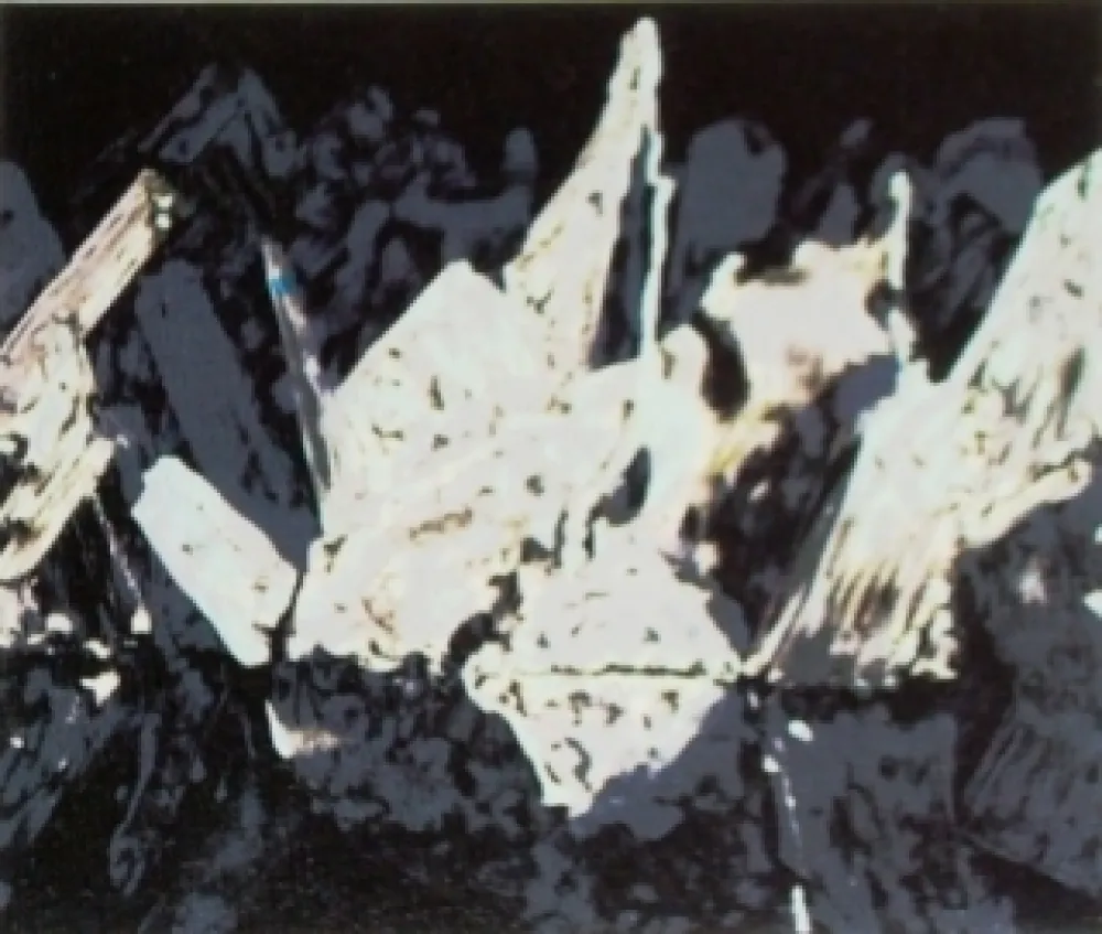 Lithografie Alexander - Sans titre