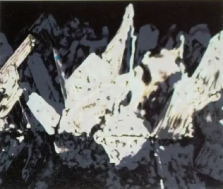 Lithografie Alexander - Sans titre