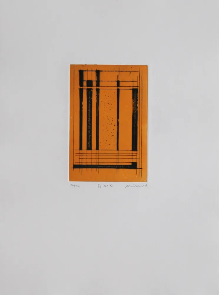 Aquatint Allirand - B XIX