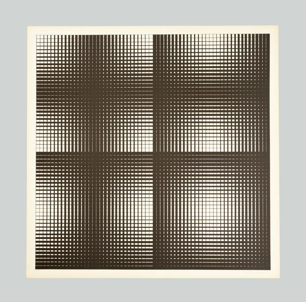 Zeefdruk Alviani - Programmazione grafica