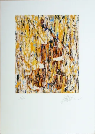 Zeefdruk Arman - VIOLINO