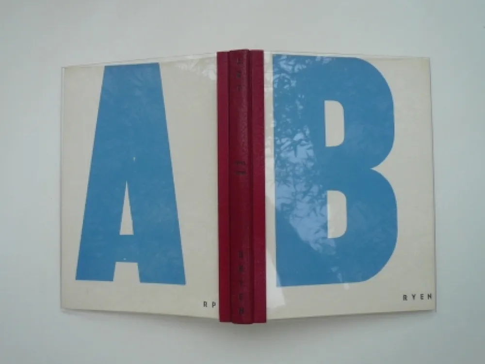 Geïllustreerd Boek Arp - Temps troué