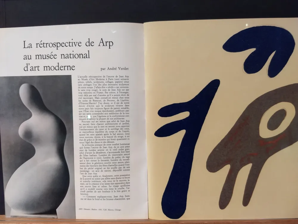 Geïllustreerd Boek Arp - Xxe No 19