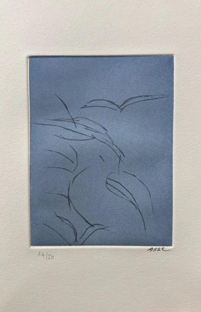 Geïllustreerd Boek Asse - Notes sur Thème. 9 pointes sèches. 