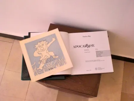 Geïllustreerd Boek Baj - Apocalisse