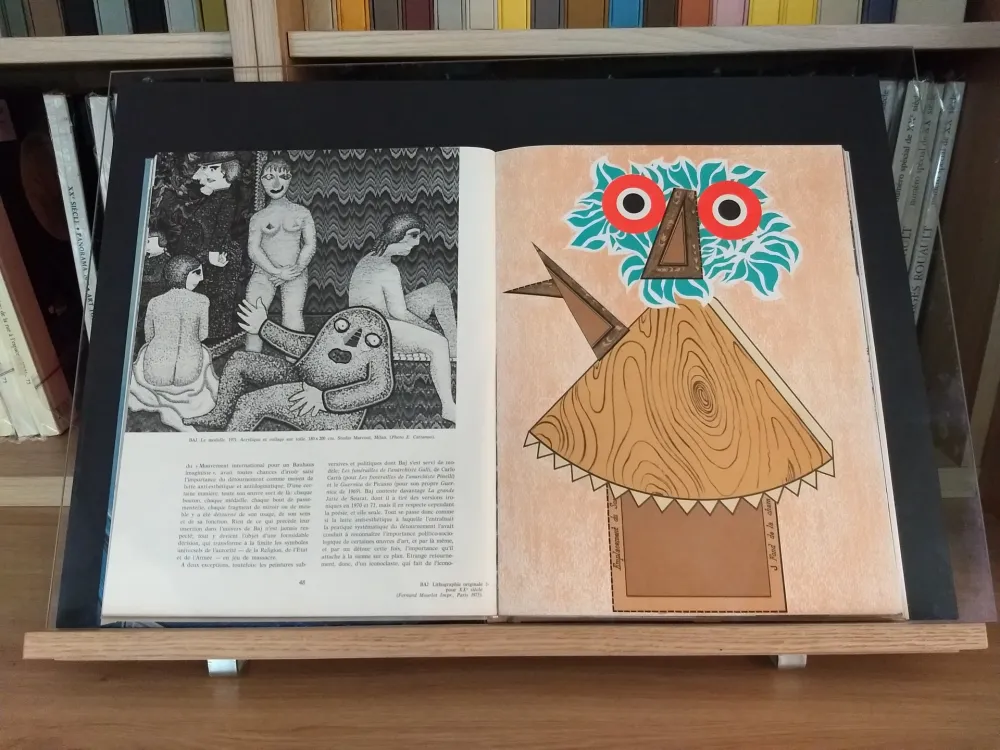 Geïllustreerd Boek Baj - No 44