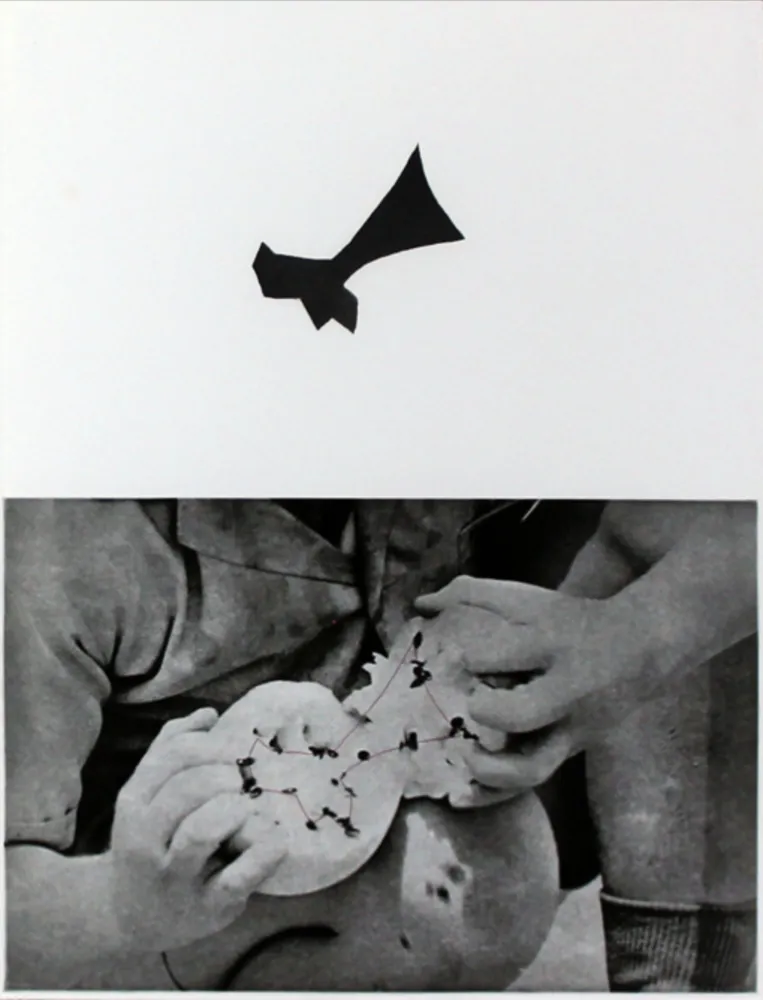 Ets En Aquatint Baldessari - Seeds