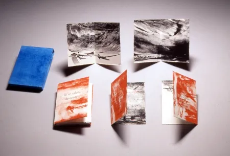 Lithografie Baltazar - Je te salue démente!