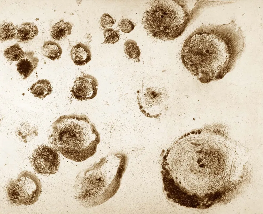 Ets En Aquatint Barcelo - Lanzarote 18