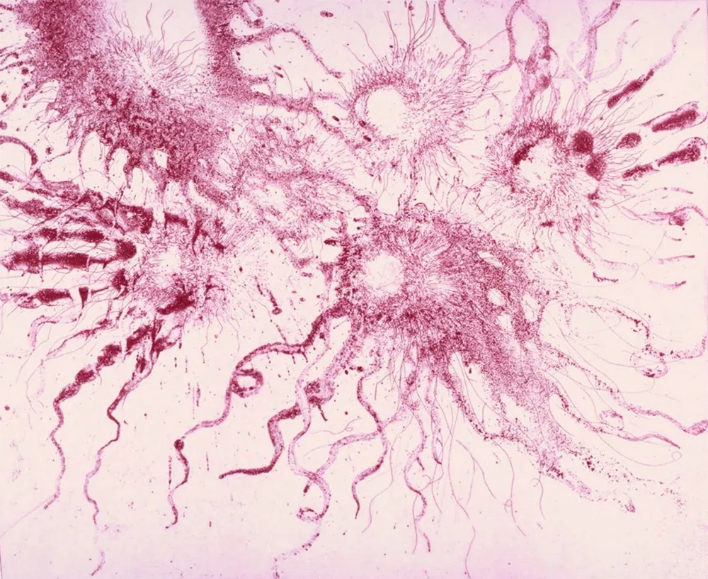 Ets En Aquatint Barcelo - Lanzarote 20