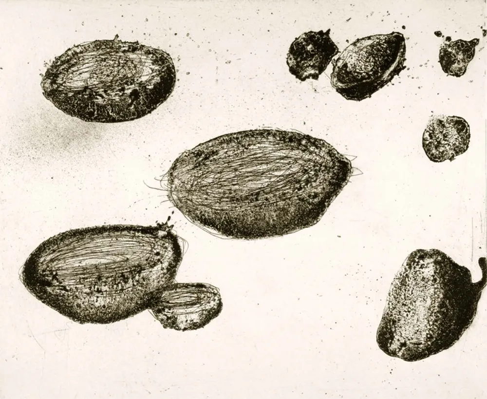 Ets En Aquatint Barcelo - Lanzarote 22