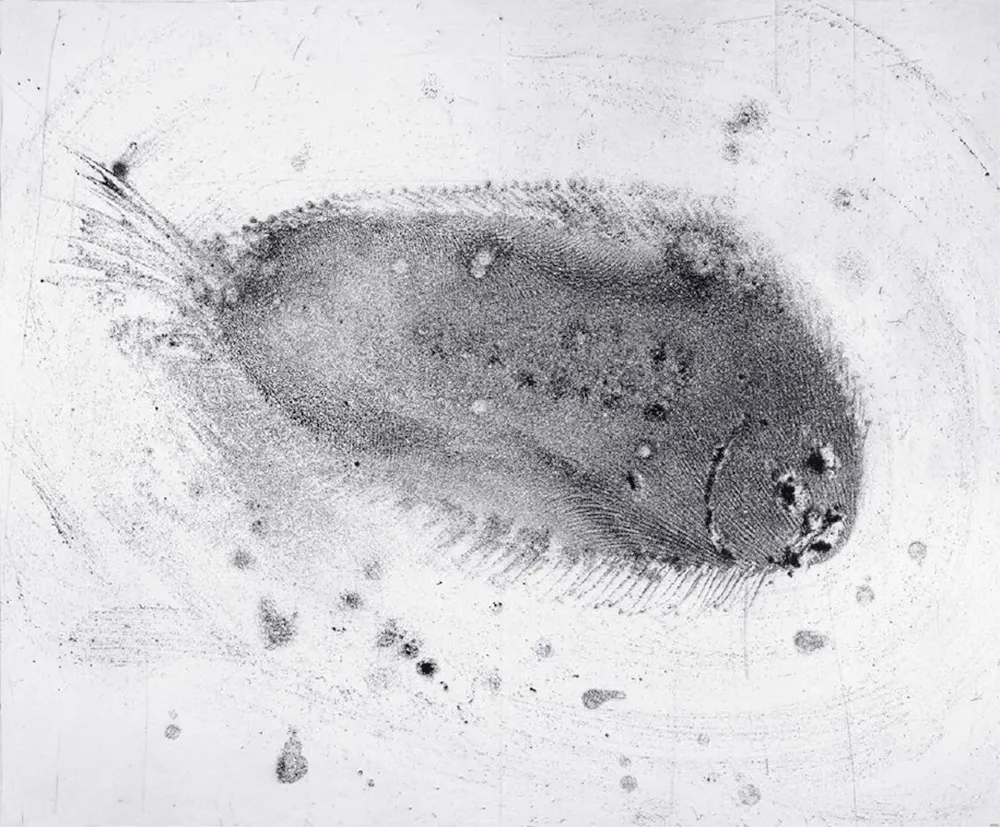 Ets En Aquatint Barcelo - Lanzarote 39