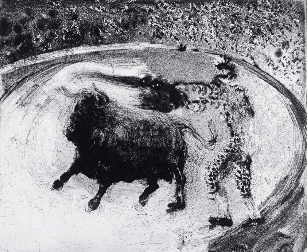 Aquatint Barcelo - Lanzarote 49