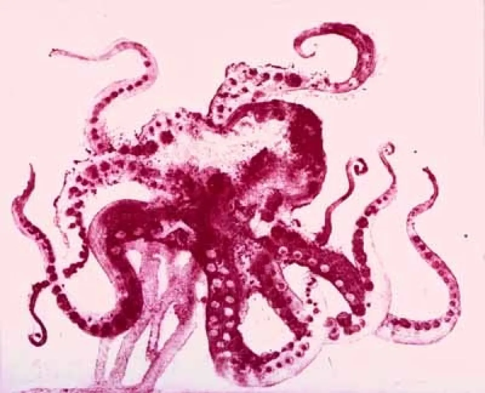 Aquatint Barcelo - Serie Lanzarote 13