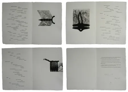 Geïllustreerd Boek Baroja-Collet - Mallarmeren betazalak