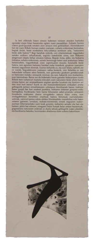 Geïllustreerd Boek Baroja-Collet - Neguko kronika hegoaldeko ordeketan