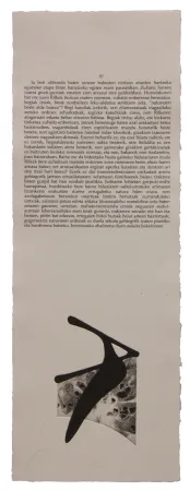 Geïllustreerd Boek Baroja-Collet - Neguko kronika hegoaldeko ordeketan