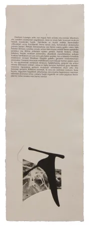 Geïllustreerd Boek Baroja-Collet - Neguko kronika hegoaldeko ordeketan