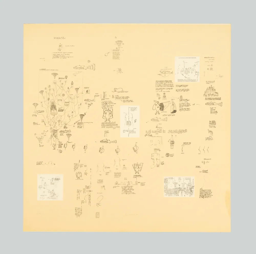 Zeefdruk Baruchello - Senza titolo