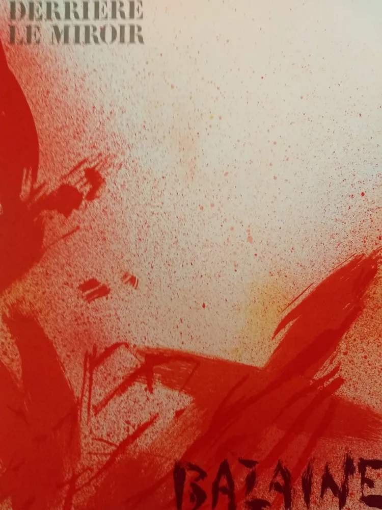 Geïllustreerd Boek Bazaine - DLM 215