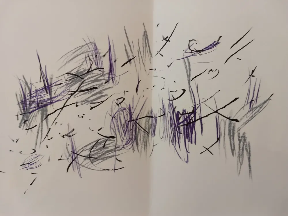 Geïllustreerd Boek Bazaine - Edition Tete DLM 197