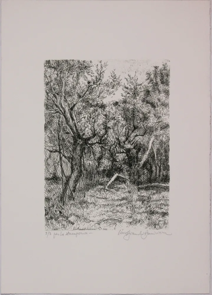 Ets Bianchi Barriviera - Untitled