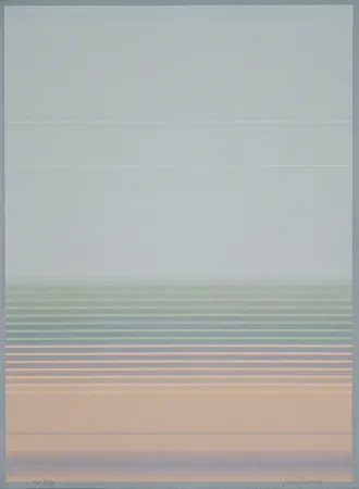 Lithografie Bird - J.B.I. - 8