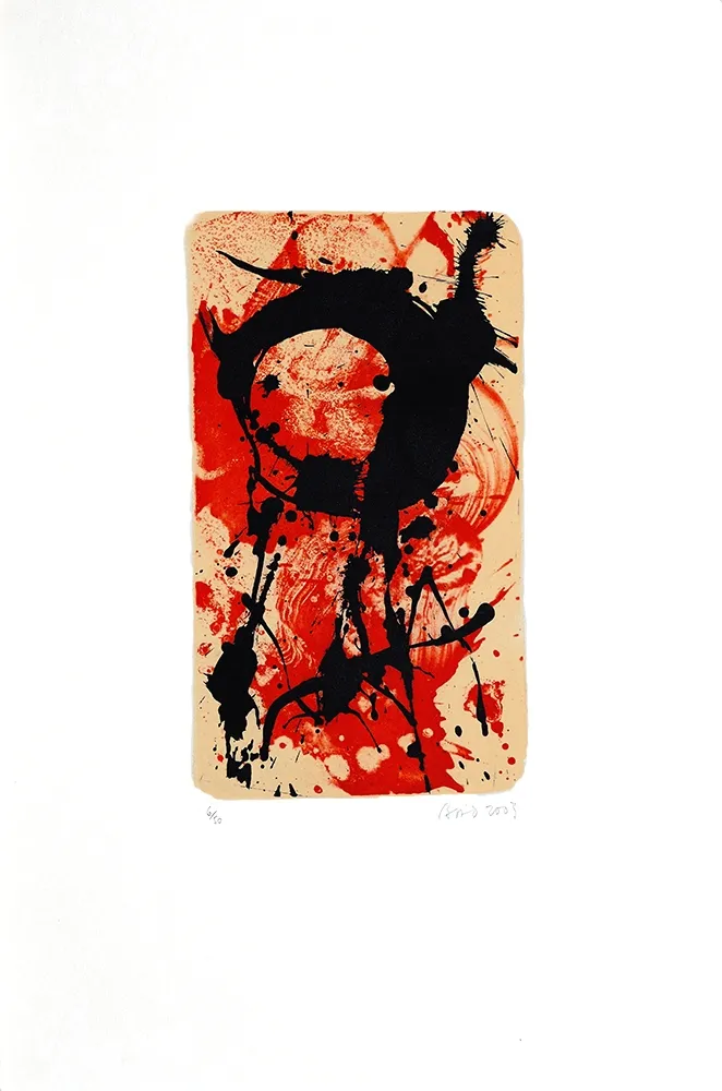 Lithografie Bird - S/T