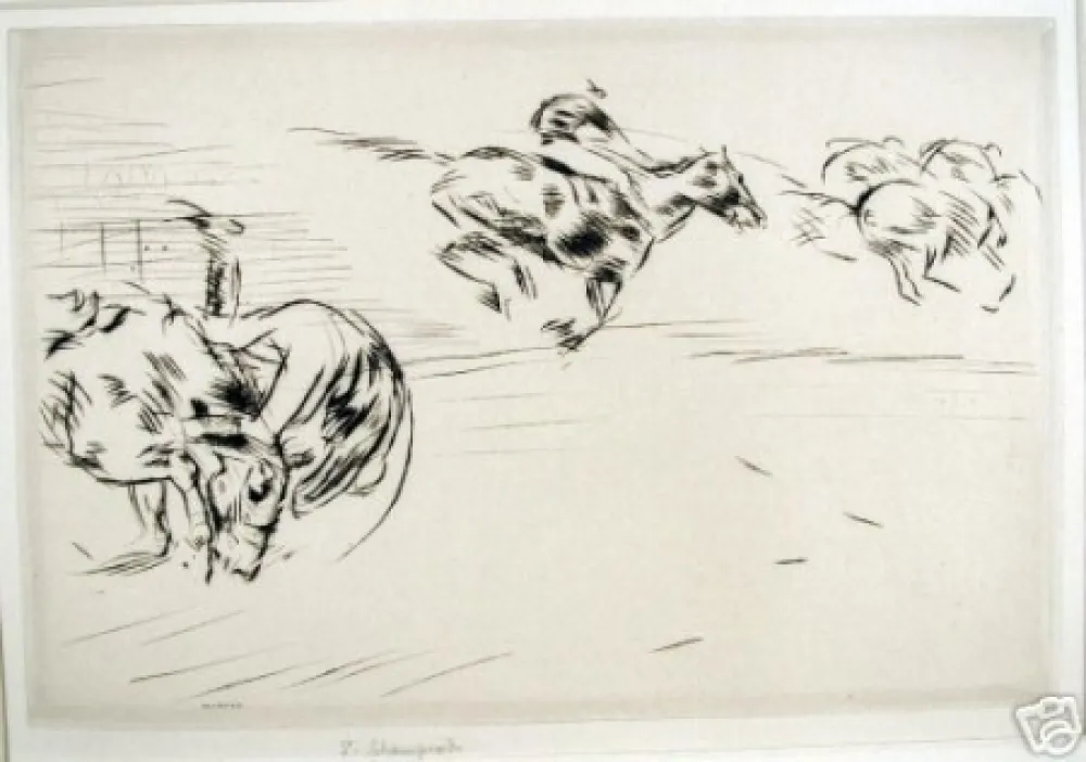 Droge Naald Blampied - The tumble