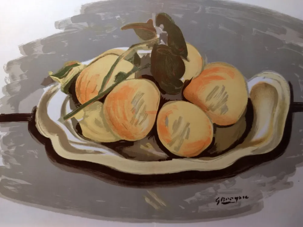 Geïllustreerd Boek Braque - DLM 48-49