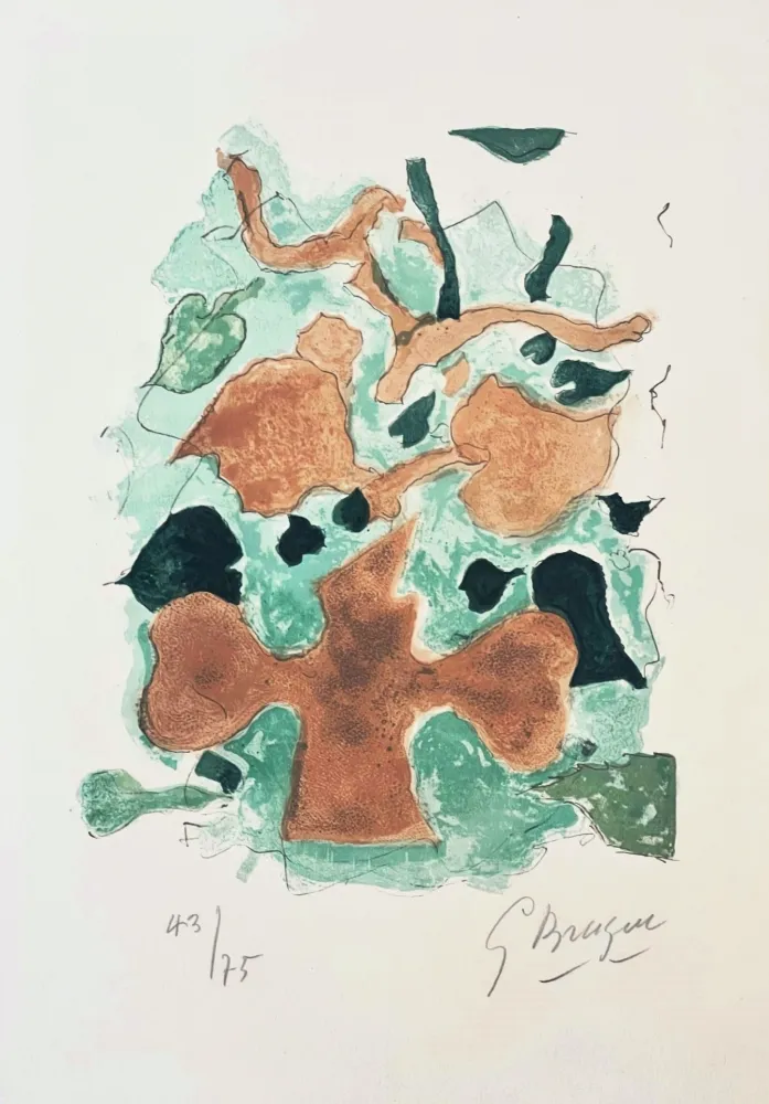 Lithografie Braque - La Fôret 