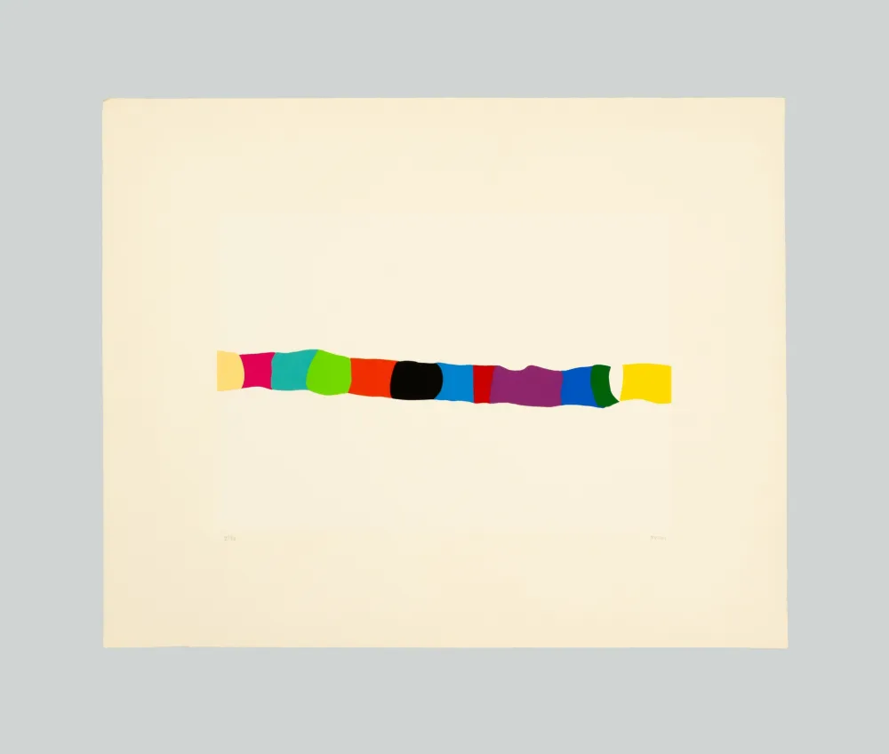 Zeefdruk Burri - Serigrafia 2-C