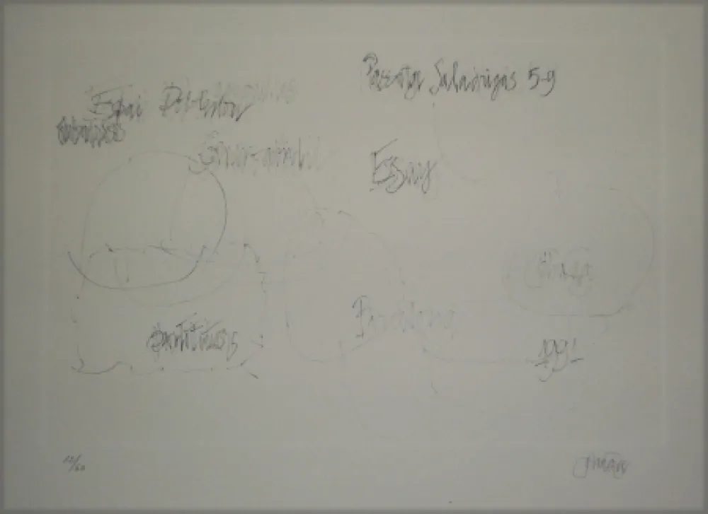 Lithografie Cage - Essays