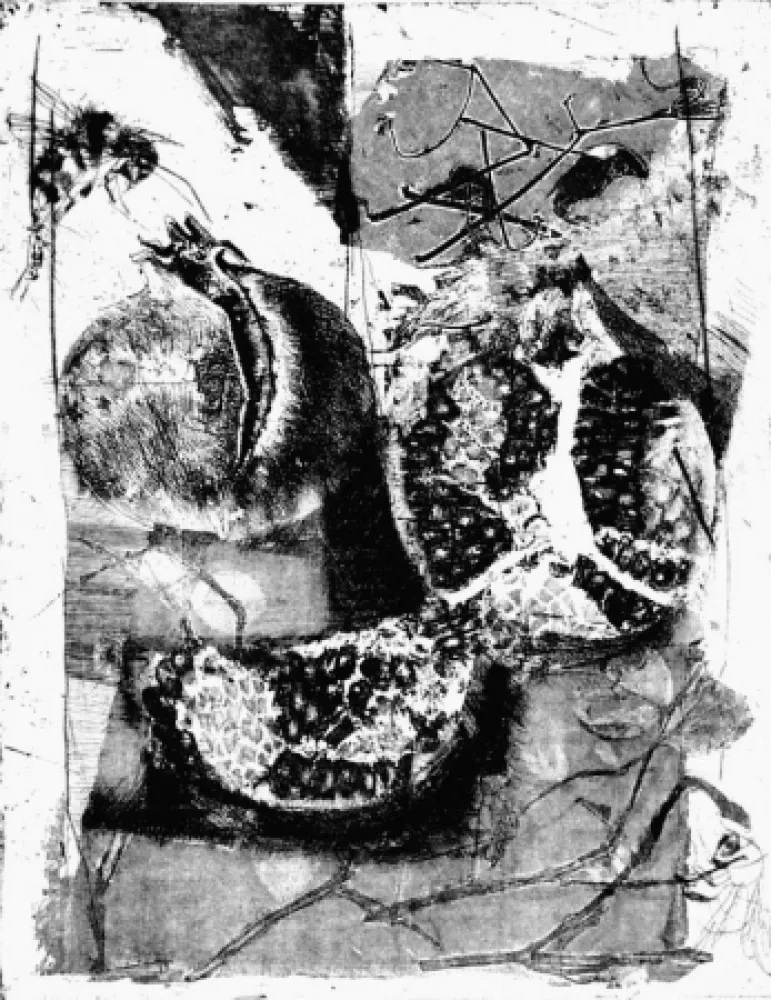 Ets Calandri - Melograne