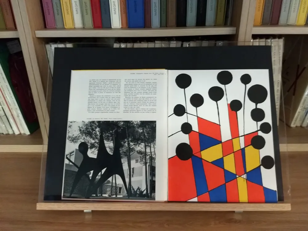 Lithografie Calder - No 37