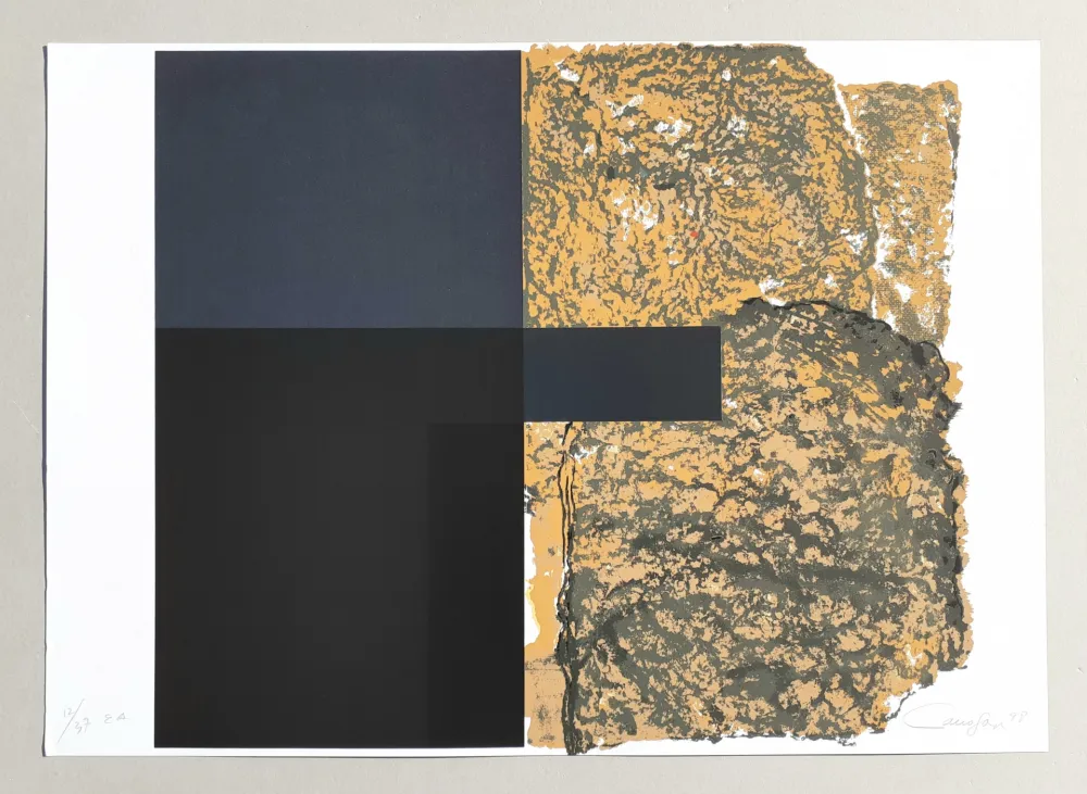 Zeefdruk Canogar - Composizione