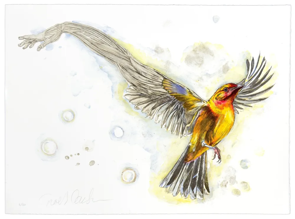 Lithografie Carlsen - Mediator #2