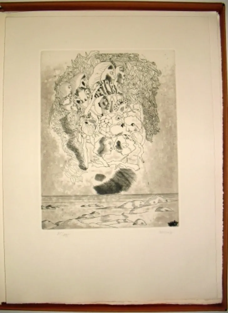 Geïllustreerd Boek Castillo - Canta a Sola Lisi