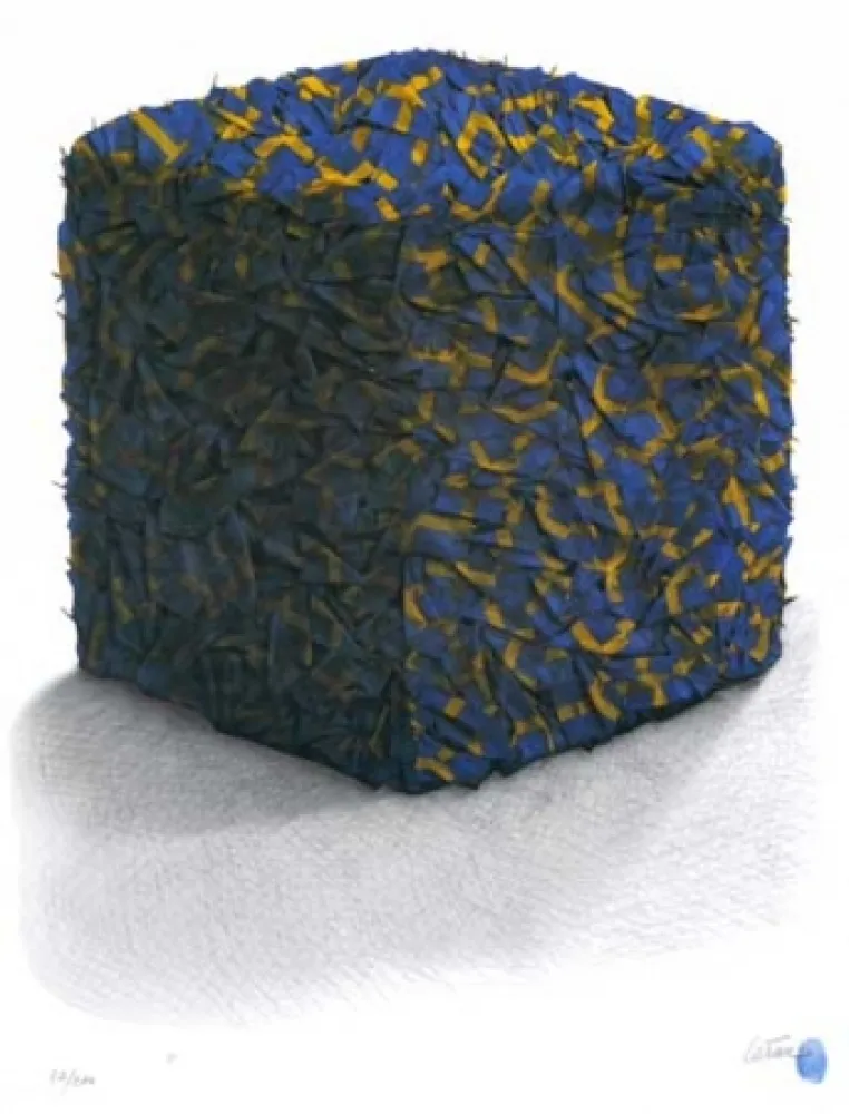 Zeefdruk Cesar - Portrait comp. drapeaux Suédois