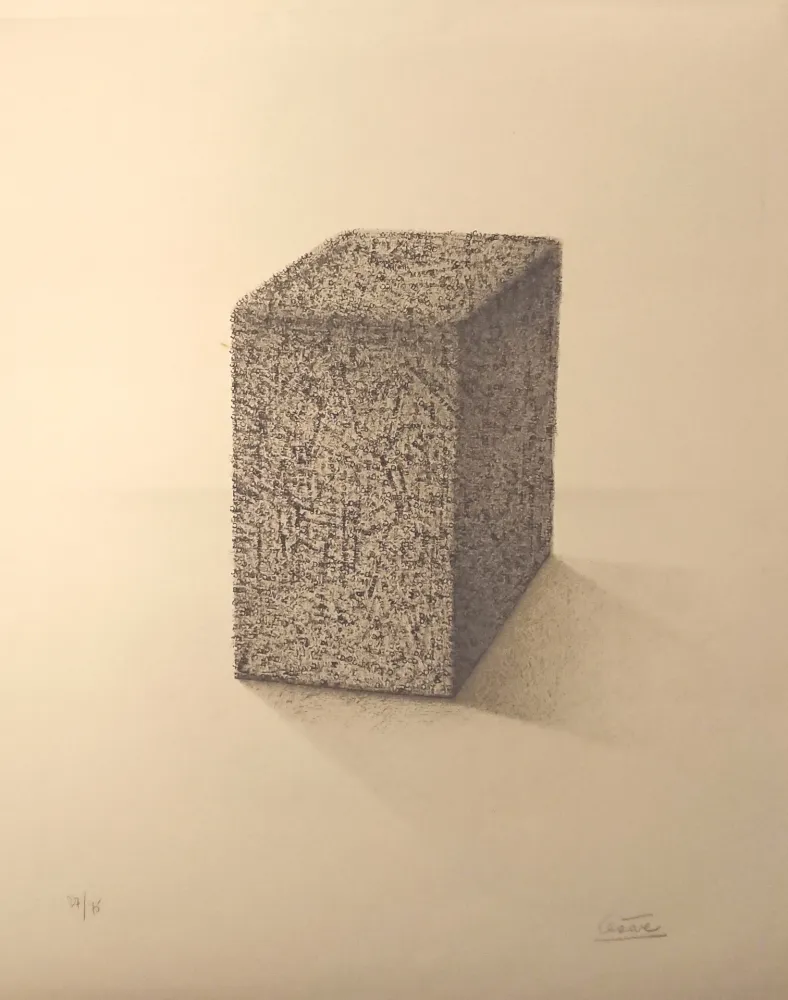 Lithografie Cesar - ' Portrait de Compression '