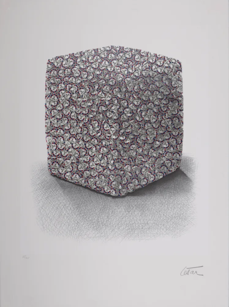 Zeefdruk Cesar - Portrait de Compression, C. 1980-1985