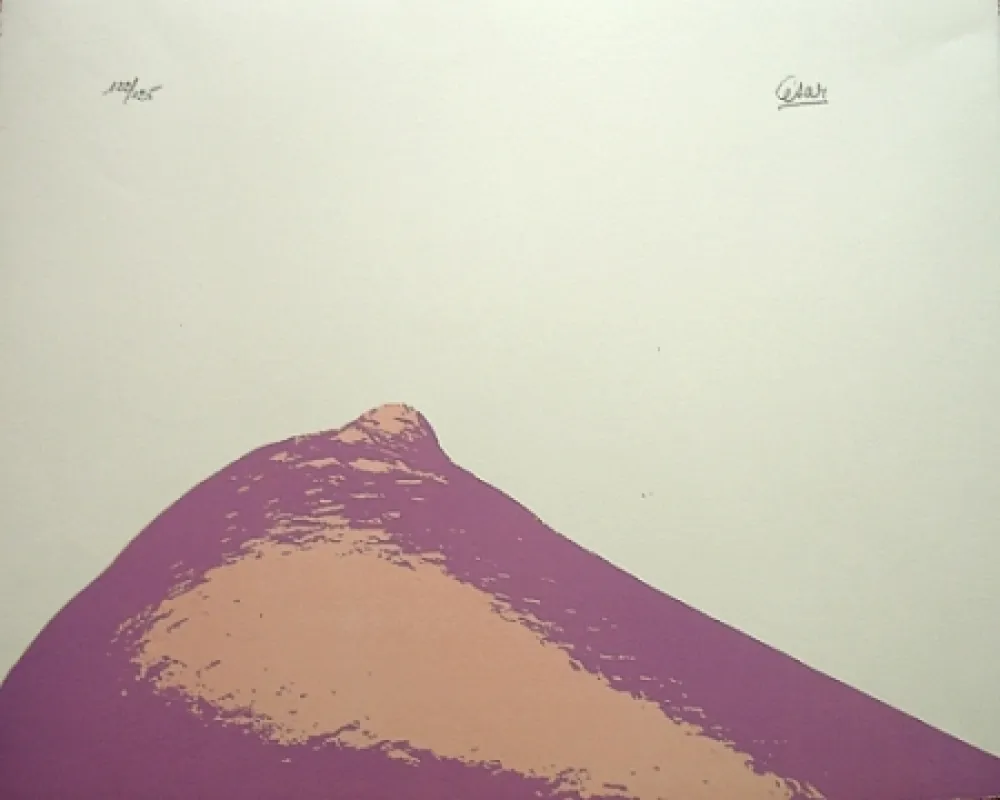 Lithografie Cesar - Senza titolo,