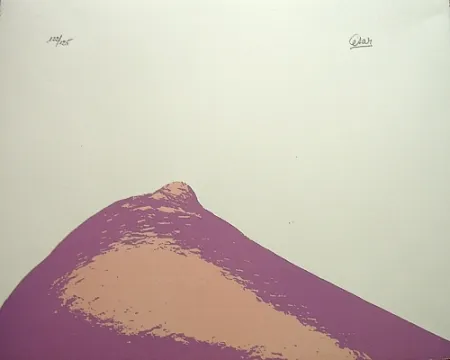 Lithografie Cesar - Senza titolo,